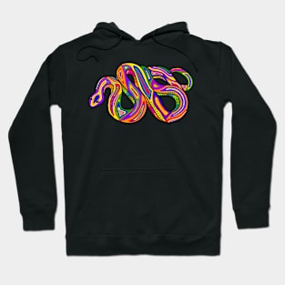 Ginebik Hoodie